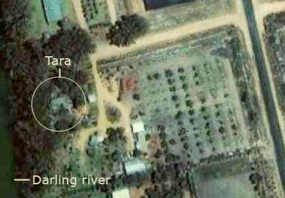 tara google map